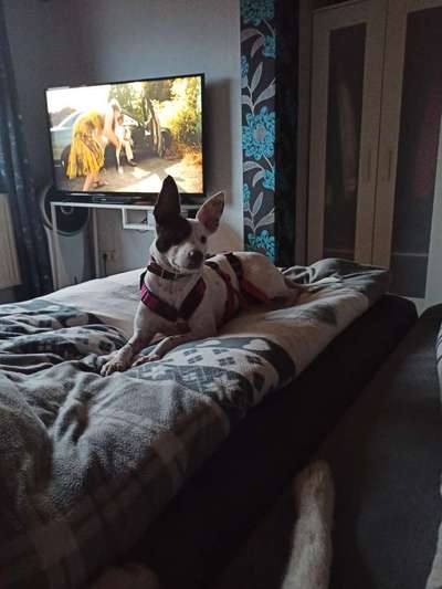 Fotochallange Nummer 5-Beitrag-Bild