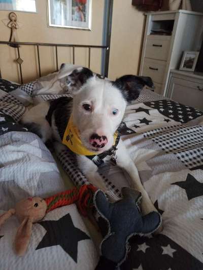 Fotochallange Nummer 5-Beitrag-Bild