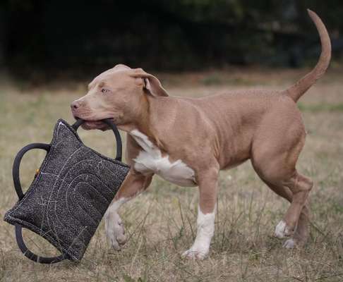 Fotochallenge No. 26                                     Wald und Wiese-Beitrag-Bild