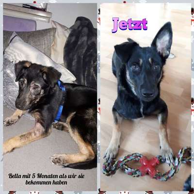 Vorher.... Nachher-Beitrag-Bild