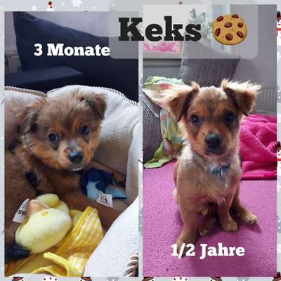 Vorher.... Nachher-Beitrag-Bild