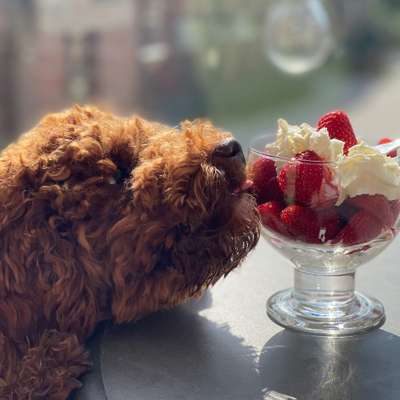 Lili's Profilbild