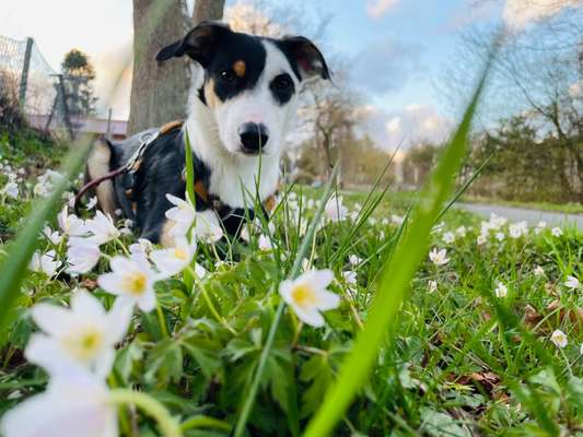 Fotochallenge 78

Es grünt und blüht-Beitrag-Bild