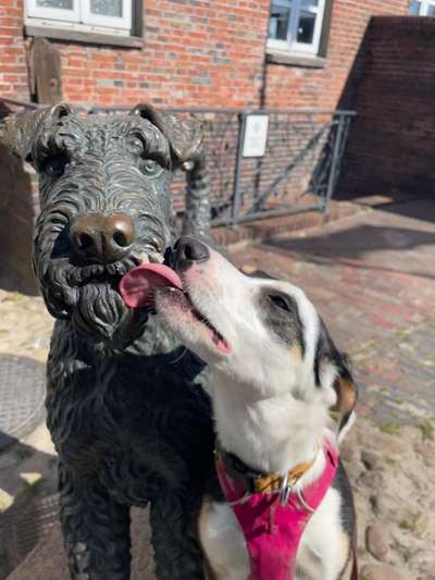 Tongue Out Tuesday-Beitrag-Bild