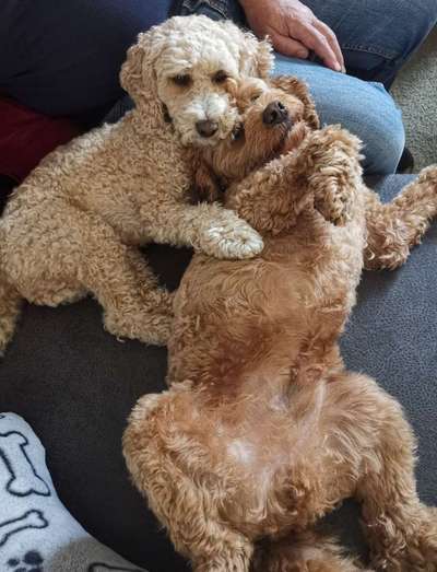 Fotochallenge Nr.65-Beitrag-Bild