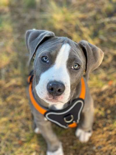 Lieblingsbild-Beitrag-Bild