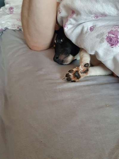 Blick fürs Detail!-Beitrag-Bild