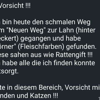 Giftköder-Rattengift (?)-Bild