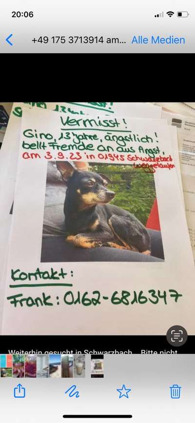 Entlaufene, Gefundene und Vermisste Hunde-Beitrag-Bild