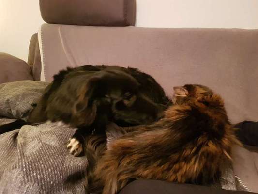 CHALLENGE Nr.17-Beitrag-Bild