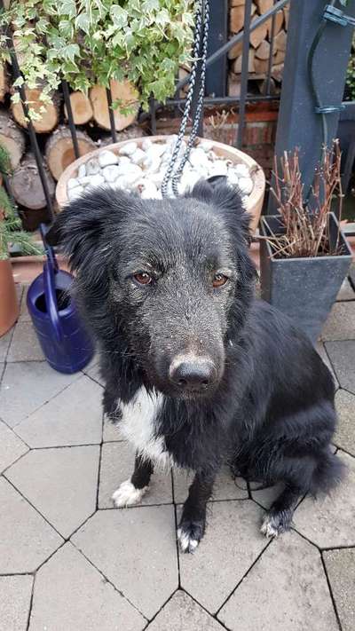 Zeigt mir doch mal eure Dreckspätze-Beitrag-Bild