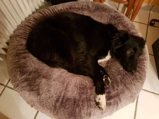 Erfahrung mit Wolkenbett-Beitrag-Bild