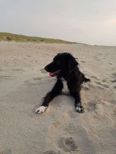 Eure Strandbilder :)-Beitrag-Bild