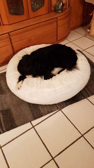 Erfahrung mit Wolkenbett-Beitrag-Bild