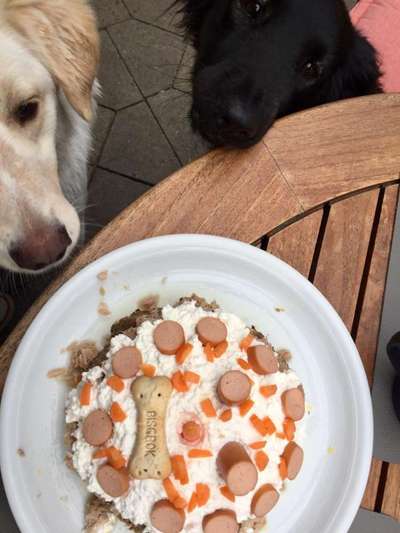 Hundetorte-Beitrag-Bild