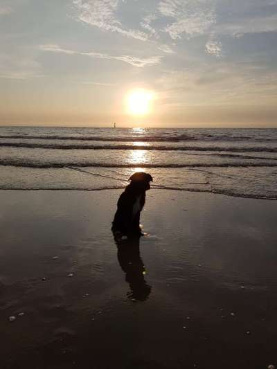 Eure Strandbilder :)-Beitrag-Bild