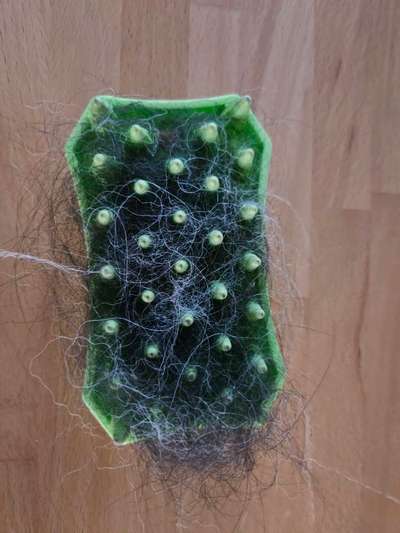 Was hat euch heute gefreut?-Beitrag-Bild