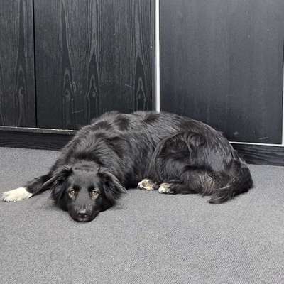 Jeanette's Profilbild