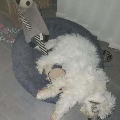 CHALLENGE NR. 34 - Liege-/Schlafpositionen-Beitrag-Bild