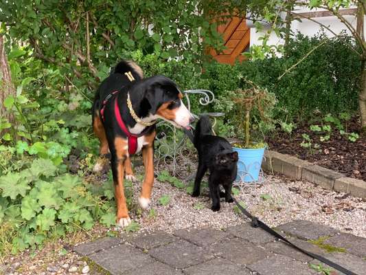 CHALLENGE Nr.17-Beitrag-Bild