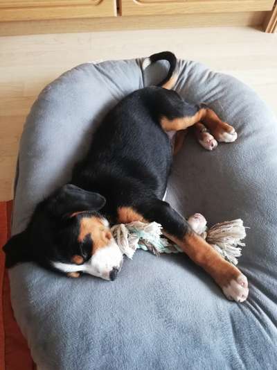 Foto Challenge 3-Beitrag-Bild