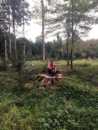 Challenge 33 - Du und dein Hund-Beitrag-Bild