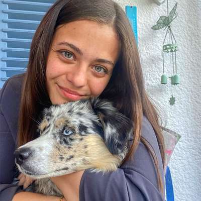 Hundetreffen-Australian Shepherd Treffen