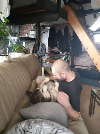 Herrchen oder Frauchen-Ähnlichkeit mit dem  Hund-Beitrag-Bild