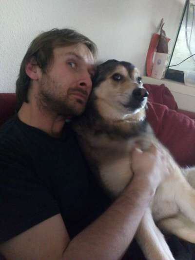 Herrchen oder Frauchen-Ähnlichkeit mit dem  Hund-Beitrag-Bild