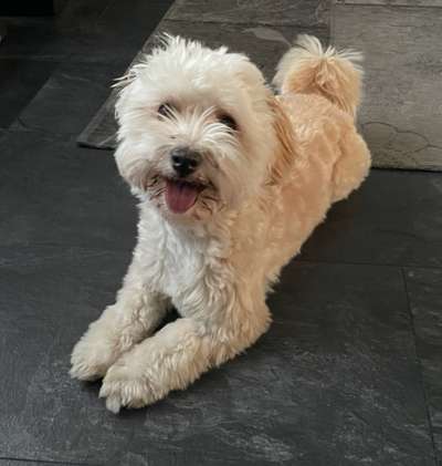 Doppelgänger gesucht !-Beitrag-Bild