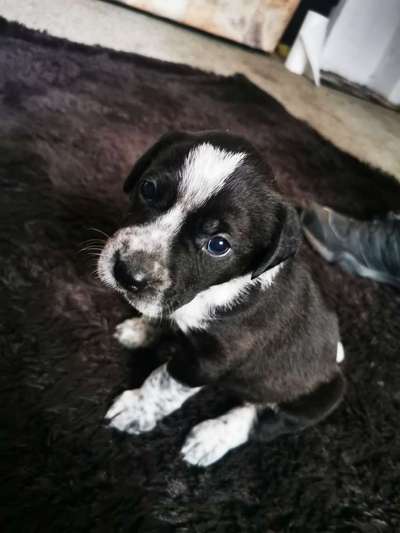 Namenssuche-Beitrag-Bild