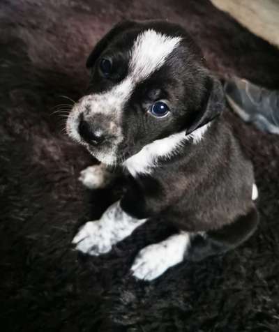 Foto Challenge 3-Beitrag-Bild