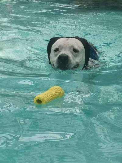 %{de_profession_title}-Aqua-Fitness-Bild