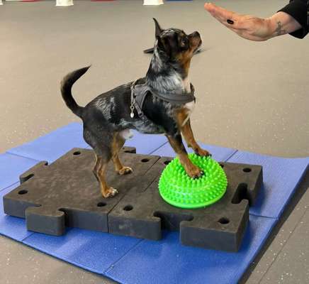 %{de_profession_title}-Gymnastricks-Bild