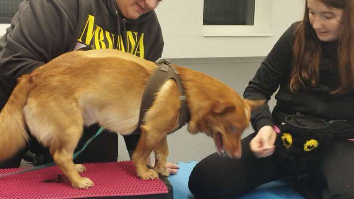 %{de_profession_title}-Rehagruppe-Bild