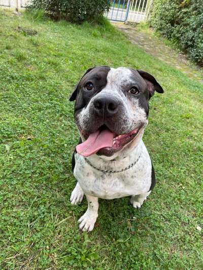 Lieblingsbild :D-Beitrag-Bild