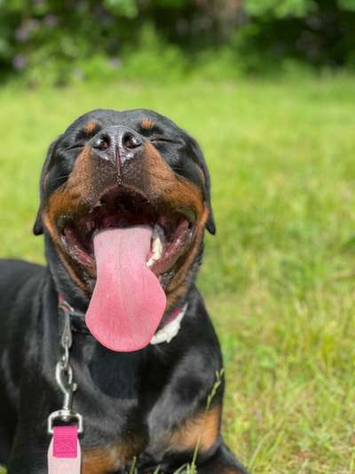 Das beste grinsefoto-Beitrag-Bild