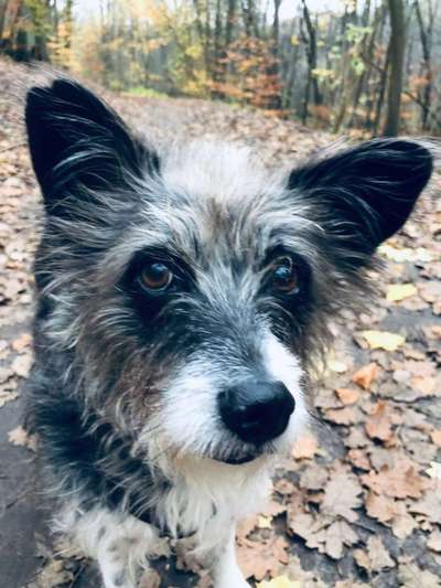 Fotochallange Nr. 57     PORTRÄT.   Beendet!!!!!!!!-Beitrag-Bild