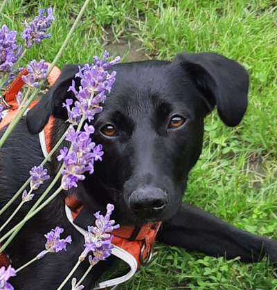 Fotochallange Nr. 57     PORTRÄT.   Beendet!!!!!!!!-Beitrag-Bild