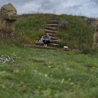 Hundetreffen-Spielen und Gassi gehen-Bild