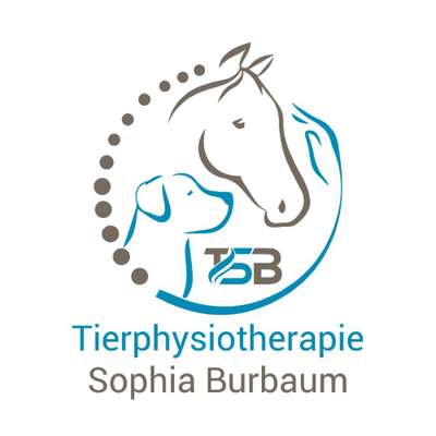 Medizinische Dienstleistungen-TSB Tierphysiotherapie-Bild