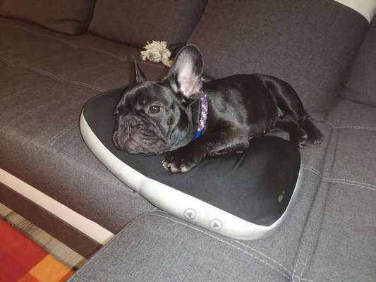 Lieblingsbild-Beitrag-Bild