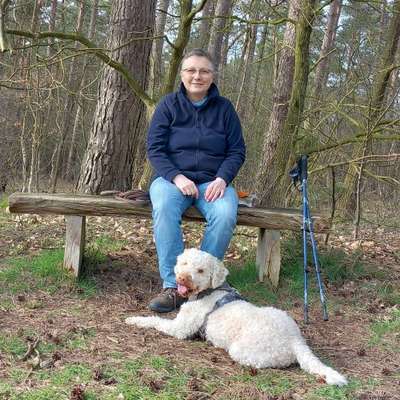 Hundetreffen-Spaziergang u.o. spielen in Hermannsburg und umzu-Bild