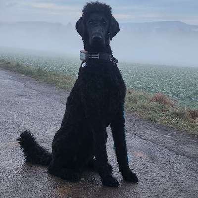 Nimsaj's Profilbild