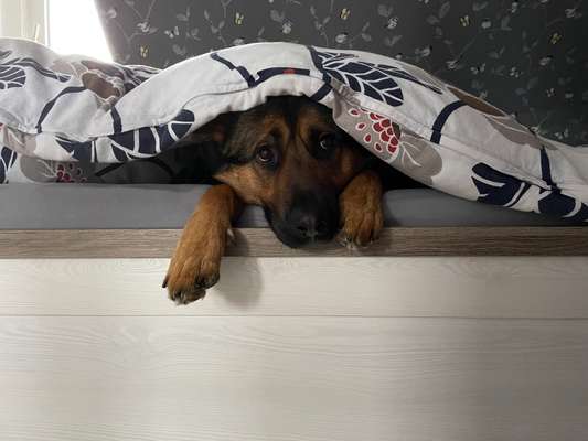 80. Foto  Challenge - Versteckt/ in einer Höhle-Beitrag-Bild