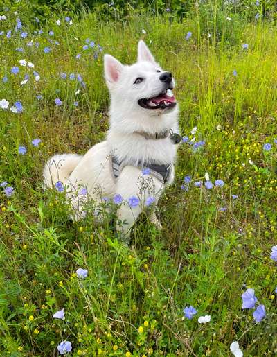 Fotochallenge Nr. 67: Euer Lieblingsbild-Beitrag-Bild