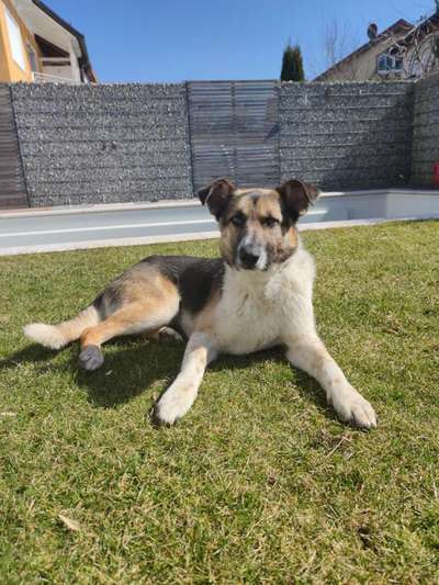 DNA-Tests-Beitrag-Bild