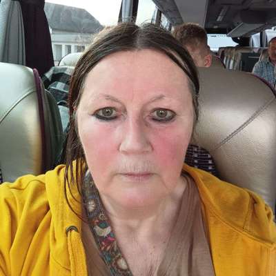 Hundetreffen-Spazieren gehen in und rund um steyr