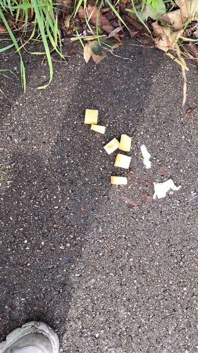 Giftköder-Käse, vermutlich Giftköder-Bild