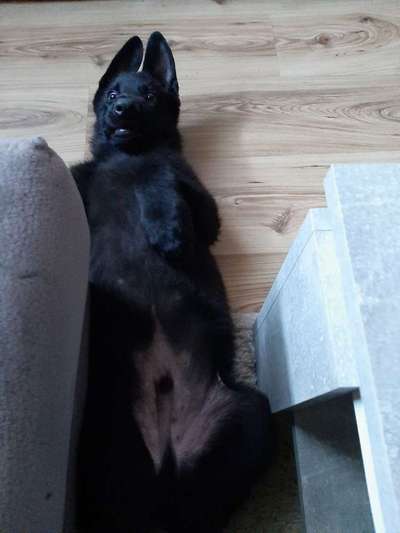 Die unbequemsten und lustigsten Schlafpositionen-Beitrag-Bild